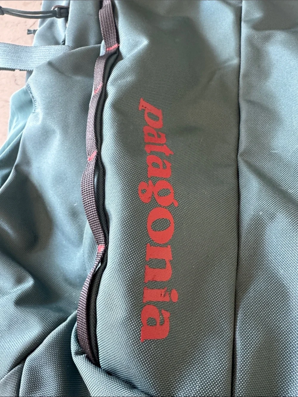 Patagonia sturdy backpack